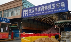 Liên Hợp Quốc kêu gọi Trung Quốc phối hợp điều tra nguồn gốc COVID-19 giai đoạn 2