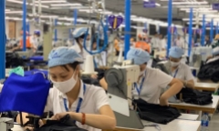 Mỗi ngày Hà Nội có 33 doanh nghiệp đăng ký tạm ngừng hoạt động
