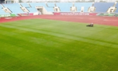 VFF đề nghị báo cáo Thủ tướng về 2 trận đấu của tuyển Việt Nam trên sân Mỹ Đình