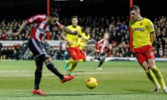 Nhận định Brentford và Watford: Cuộc chiến ngang tài của loài ong