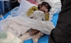 Bé gái 4 tuổi bị