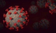 Nghiên cứu phát hiện thêm 9 chủng virus corona mới
