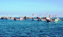 Bộ Nông nghiệp chỉ đạo giám sát việc hàng loạt tàu cá ra khơi đột ngột mất tín hiệu