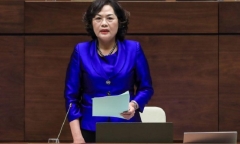 Đại biểu Quốc hội: 