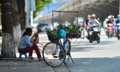 Tin tức dự báo thời tiết hôm nay 3/7: Hà Nội ngày nắng nóng, có nơi trên 37 độ