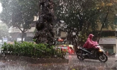 Tin tức dự báo thời tiết hôm nay 8/7: Cả nước có mưa dông