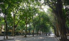 Tin tức dự báo thời tiết hôm nay 28/8: Hà Nội ngày nắng, chiều tối và đêm có mưa