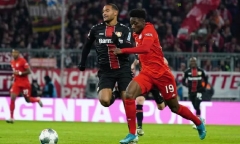 Nhận định Bayern Munich vs Leverkusen: Tìm lại cảm giác thắng