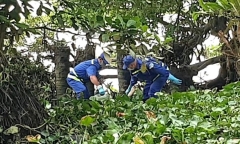 Thi thể cô gái mất tích trôi trên sông Sài Gòn