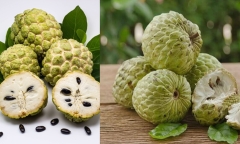 4 nhóm người này ăn na 