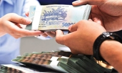 Cây đào cổ thụ 