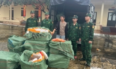 Kiểm tra ô tô tải, phát hiện gần 1,2 tấn trứng gà non không rõ nguồn gốc