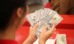 Tỷ giá USD hôm nay 31/7/2024: USD thế giới lao dốc