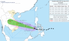 Đà Nẵng sau bão số 13 Kalmaegi: Loạt cây ven biển bật gốc, đường phố ngập rác
