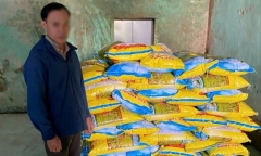 Khởi tố người đàn ông sản xuất 5,5 tấn giống lúa giả ở Quảng Nam