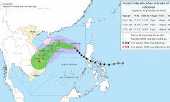 Tin bão số 12 mới nhất: Có khả năng mạnh thêm, cách Hoàng Sa khoảng 540km