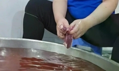 Vụ nghi vấn