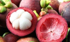  Công dụng thần kỳ của vỏ măng cụt có thể bạn chưa biết