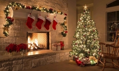 10 ý tưởng trang trí cây thông Noel mùa Giáng sinh cực độc và sáng tạo