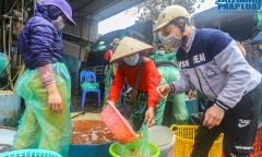 Chợ cá lớn nhất miền Bắc vắng vẻ trước ngày cúng ông Công ông Táo