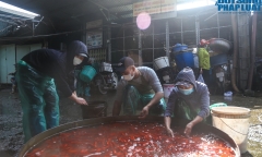 Hà Nội: Chợ cá Yên Sở tấp nập, rực sắc đỏ trước ngày ông Công - ông Táo