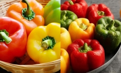 Ăn ớt chuông sống nhiều có tốt không? Chuyên gia khuyến cáo những người này nên tránh xa ớt chuông kẻo rước bệnh vào người