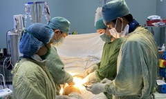 Nỗ lực cứu sống sản phụ trong vụ cây xanh ở trường bất gốc đè trúng người