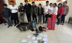 Triệt phá tụ điểm đánh bạc trong nhà lồng trồng rau ở Lâm Đồng, bắt giữ 11 người