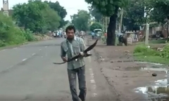 Người đàn ông bị quạ
