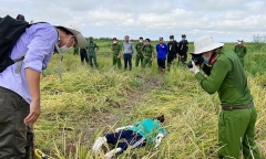 Vụ giấu thi thể hàng xóm ngoài ruộng lúa: Bẫy chuột bằng điện gây chết người