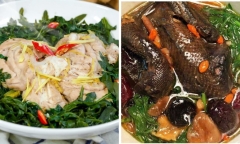 Đừng tùy tiện sử dụng loại cây