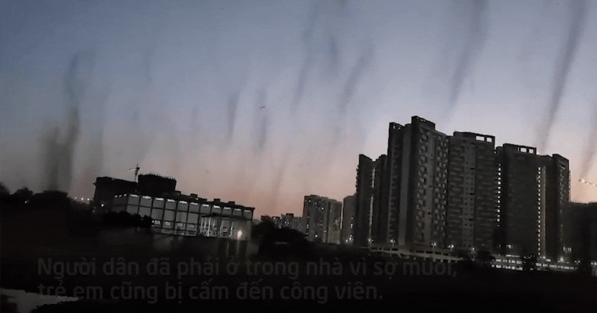 Video: Kiếp nạn 