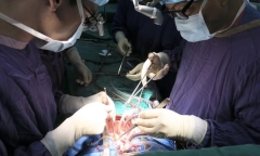 Bộ Công an cảnh báo thủ đoạn của tội phạm mua bán nội tạng người 