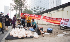 Đề nghị không mua trứng gia cầm bán 
