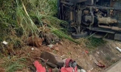 Xác định danh tính nữ kế toán bị ô tô đâm tử vong thương tâm khi đi làm về