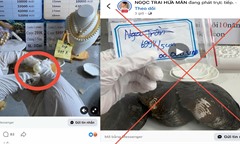Livestream “mở ngọc trai” tiền tỷ: Cảnh giác bẫy chuyển tiền liên tiếp