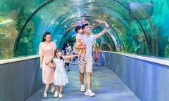 1/6 đi đâu chơi ở Hà Nội? Top địa điểm vui chơi cho bé 