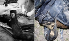 Phát hiện thi thể nam giới nổi trên hồ thủy điện, lưng đeo ba lô chứa tảng đá 20kg ở Đà Nẵng