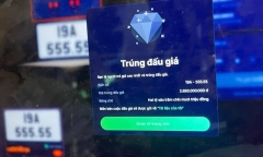 Tin thời sự nóng mới nhất ngày 27/10: Nhiều biển ô tô đã chốt đấu giá tiền tỷ bị bỏ cọc