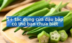 5+ tác dụng của đậu bắp có thể bạn chưa biết
