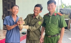 Con vật 