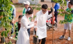 Cặp đôi tại Đắk Lắk trồng 100 cây xanh trong ngày trọng đại, khiến dân mạng 