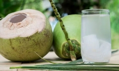 Sốt uống nước dừa được không?