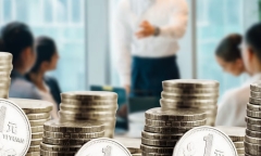 Mỹ: Người phụ nữ đánh cắp trứng cá sấu về nuôi hơn 20 năm