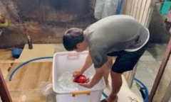 Clip: Cận cảnh quy trình 