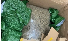 Đường dây mua bán hơn 700kg cần sa bị triệt phá như thế nào?