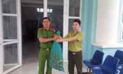 Gia Lai: Phát hiện cá thể trăn 10kg nằm giữa đường, người dân lập tức giao nộp cho Hạt Kiểm lâm