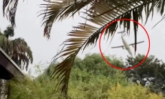 Vụ rơi máy bay thảm khốc ở Brazil: Bí ẩn 