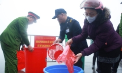 Lực lượng chức năng “hộ tống” cá chép trong xô thả xuống sông Hồng ngày Hà Nội sương mù dày đặc