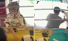 Clip: Cầm súng đi cướp tiệm vàng, người đàn ông bị làm cho giật mình bỏ chạy